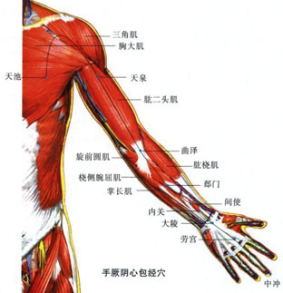 人体有四个“灭火器”哪里有火灭哪里(图1)