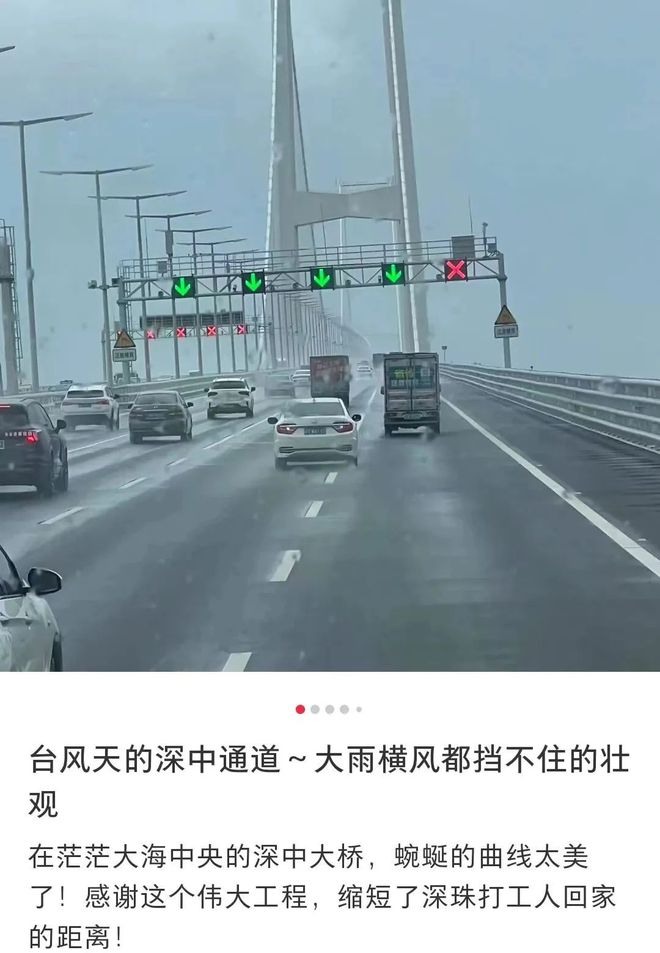 星空体育网站：“湾区新顶流”！首月车流量破300万车次(图1)