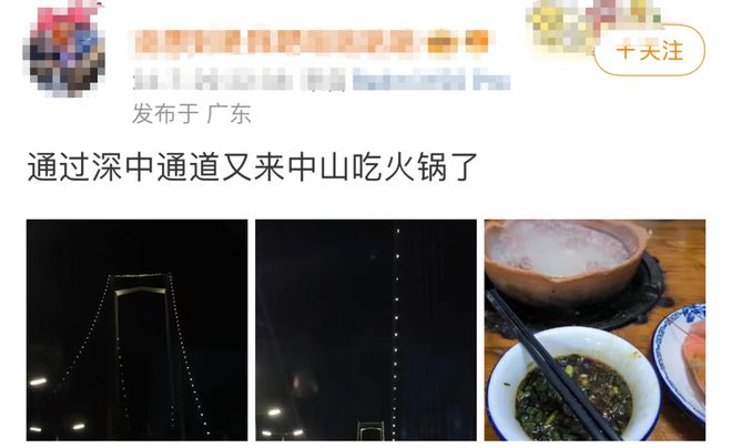 星空体育网站：“湾区新顶流”！首月车流量破300万车次(图5)