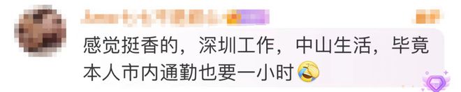 星空体育网站：“湾区新顶流”！首月车流量破300万车次(图4)