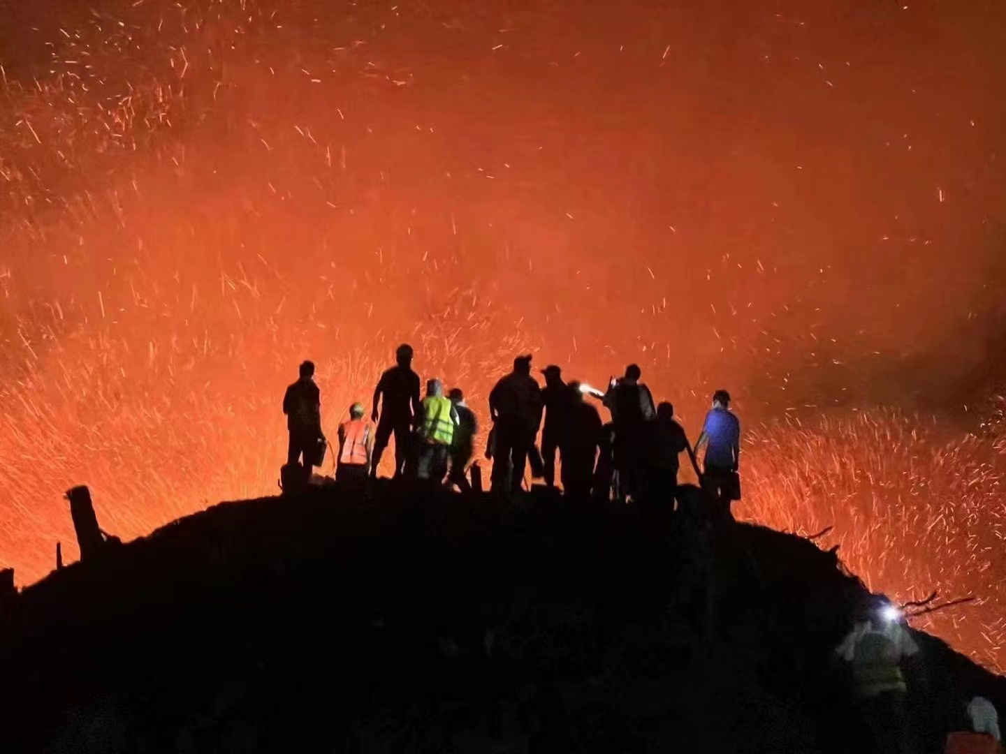 星空体育网站：重庆森林火灾明火已全部扑灭消防指战员详解扑救难点(图1)