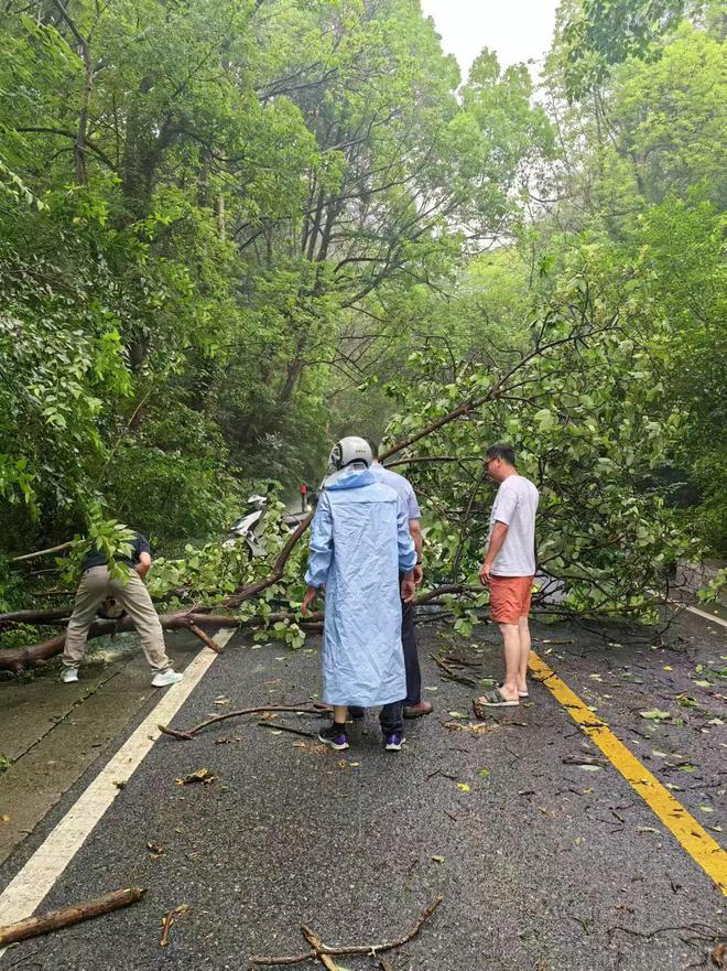 江苏镇江：“热带雨林”里的护林员用汗水守护“城市绿肺”(图3)