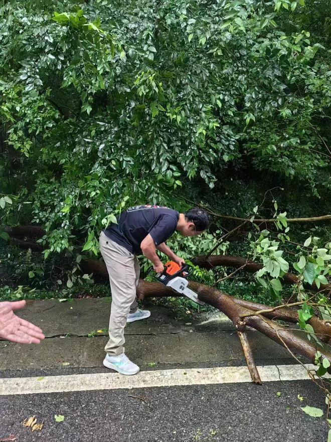 江苏镇江：“热带雨林”里的护林员用汗水守护“城市绿肺”(图2)