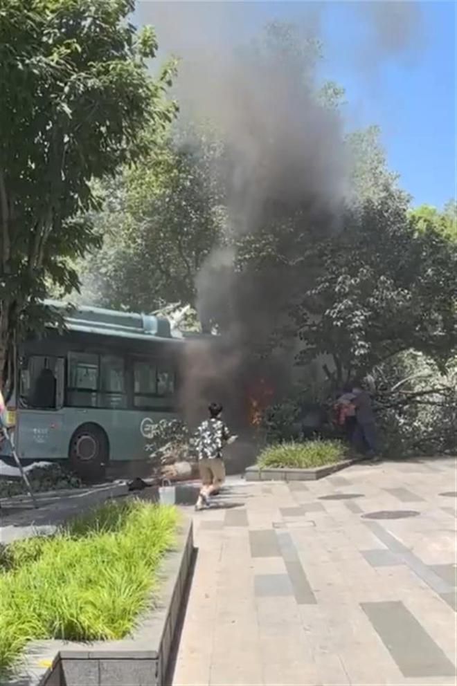 星空体育：重庆一公交车撞倒行道树起火市民自发拿灭火器救火：2人轻微受伤(图1)