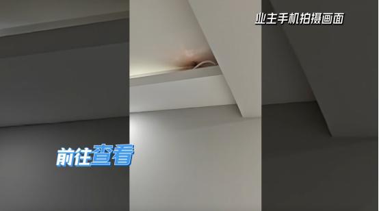 《梦想改造家》第11季走心改造直面4个灭火器浇不灭的不安(图7)