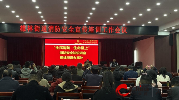 驻马店市驿城区橡林街道开展全国消防日培训讲座暨消防疏散演练活动(图1)