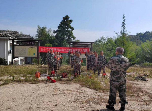 黎平县国有楠竹林场开展森防大练兵(图2)