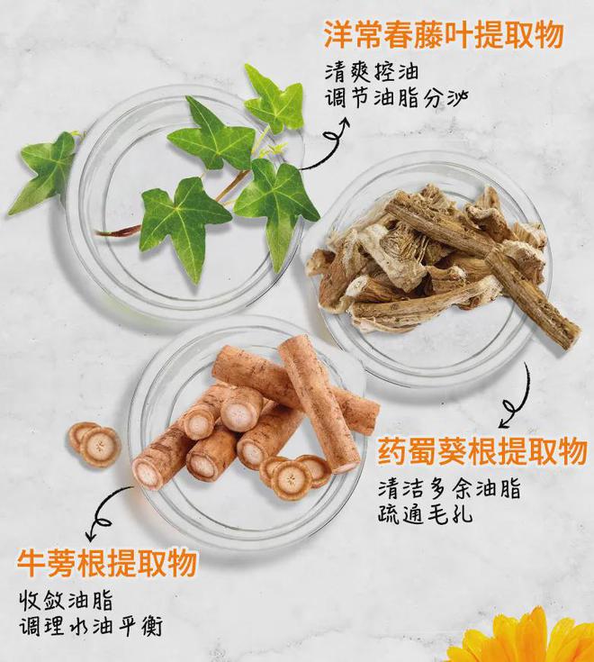 星空体育：双十一特价！抢科颜氏明星体验装！白泥面膜、金盏花水、高保湿面霜你想要的都有(图12)