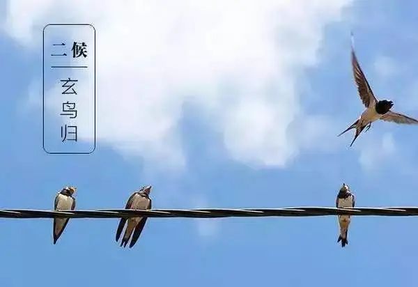 星空体育网站：今日白露天转凉秋意浓消防安全不能“凉”！(图1)