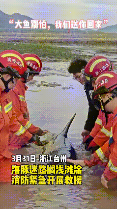 台州消防2024年度“暖心故事”等你来选！(图12)