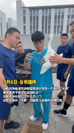 台州消防2024年度“暖心故事”等你来选！(图20)
