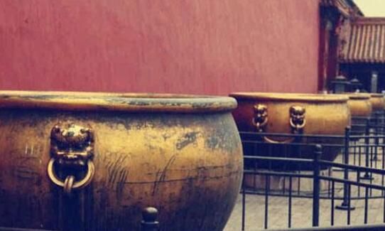 专业消防队是谁组建的故宫专业消防队蚂蚁庄园(图2)