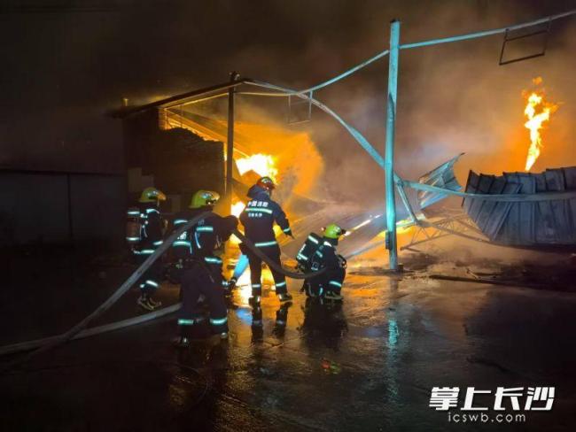 星空体育：唐令彬督导噪音污染防治和森林防灭火工作(图1)