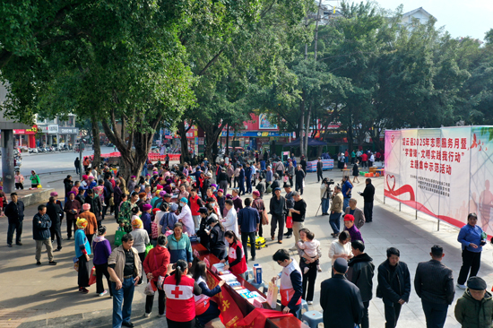 凌云县启动2025年志愿服务月活动弘扬雷锋精神暖人心(图1)