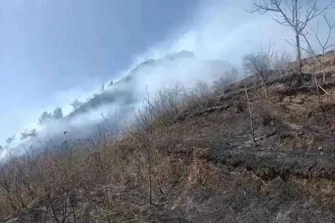 三台——织密防火“安全网”清明安全“不放假”(图2)