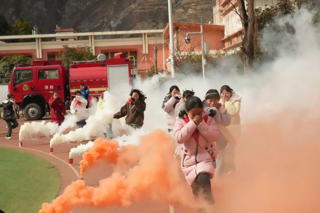 星空体育：威聚焦丨多地开展森林防火进校园活动共筑绿色安全防线(图4)