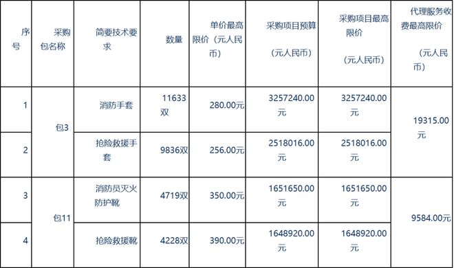 星空体育：【5673万元】湖南省消防救援总队2023年总队部门集中采购器材装备项目-基本防护类公开招标(图2)