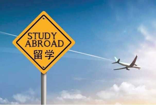 星空体育网站：九牛问津：留学博士学术追求的全球视野(图1)