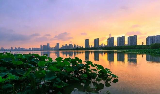 建发望湖售楼处_2025首页网站_建发望湖欢迎您(图2)