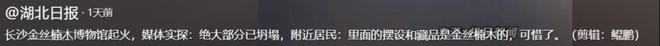 长沙金丝楠木博物馆遭大火焚毁引发网友热议。(图14)