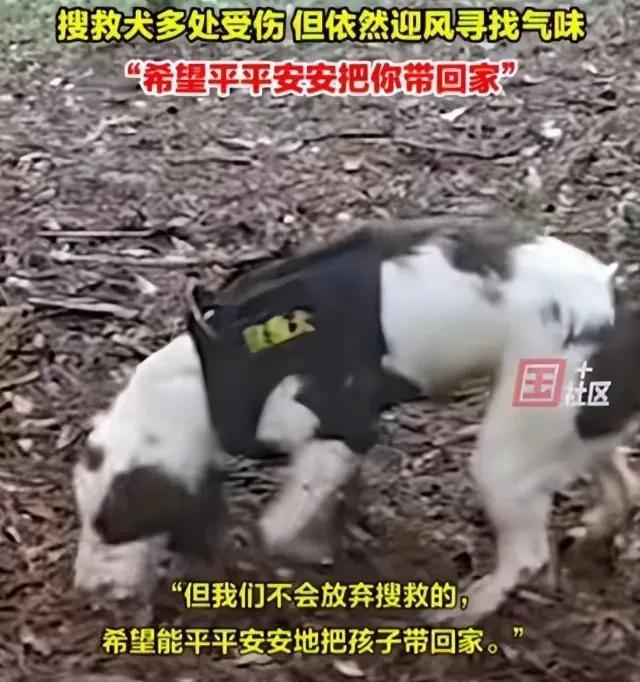 搜寻福建男童有好消息曝21岁女大学生失联多日果然有情况(图21)