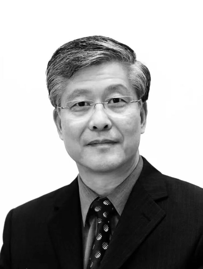 星空体育网站：缅怀艺术史学者陈履生逝世享年68岁(图1)