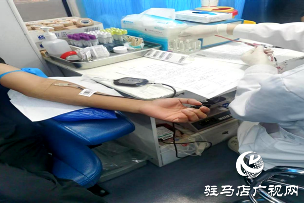 星空体育：平舆县图文新闻(图15)