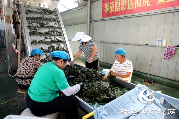 星空体育：平舆县图文新闻(图17)