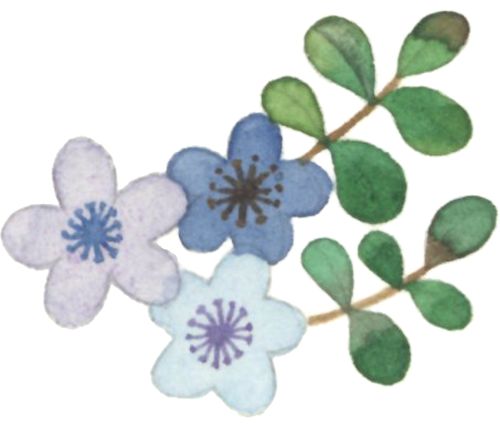 【筑牢基层消防安全防线】④：安州——消防力量下沉一线筑牢乡镇安全防线(图3)