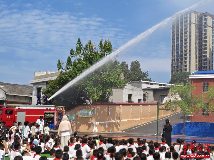 星空体育网站：金山小学：实战演练强技能安全知识入人心(图4)