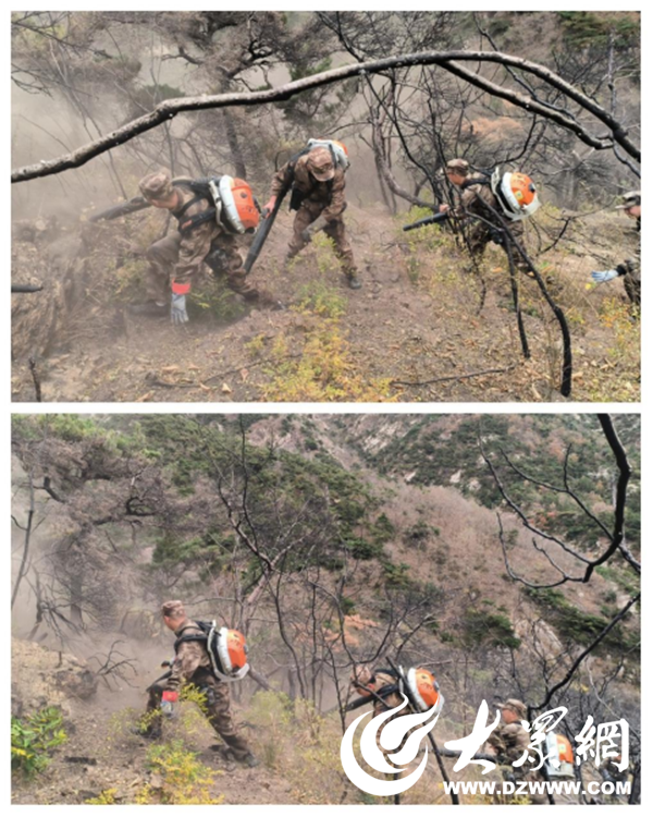 星空体育：招远市森林防灭火巡查大队开展防灭火技能培训(图2)
