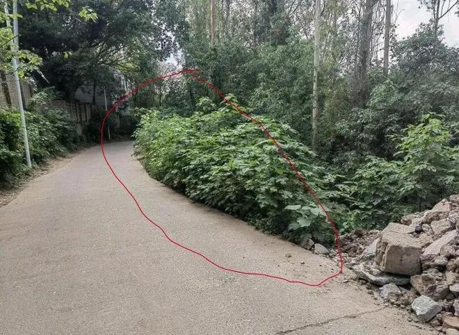 大曝光！（第8期）遂宁曝光一批道路交通领域安全隐患(图18)