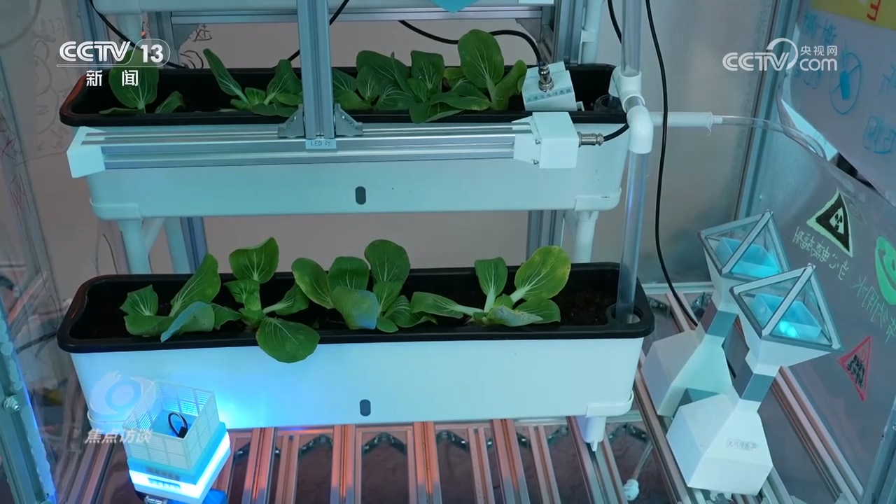 星空体育网站：焦点访谈｜科学进万家科普正当时(图2)