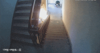 4岁男童玩打火机点楼道(图2)