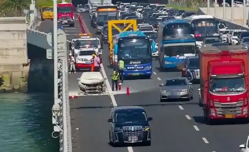 深中通道上三位司机灭火身影被拍下！南都对话当事司机(图2)