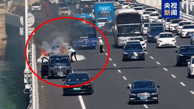 7点出发｜小心“飞行的硫酸”！有人32楼家中被隐翅虫“占领”(图2)