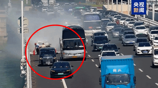 7点出发｜小心“飞行的硫酸”！有人32楼家中被隐翅虫“占领”(图3)