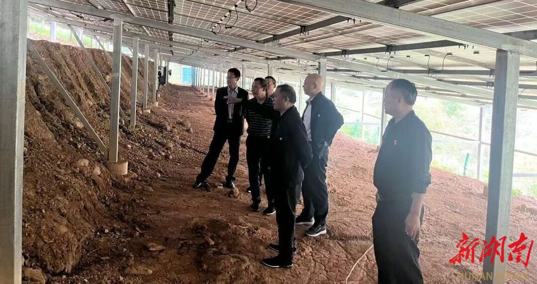 星空体育：娄底市应急管理事务中心党支部服务基层办实事(图2)