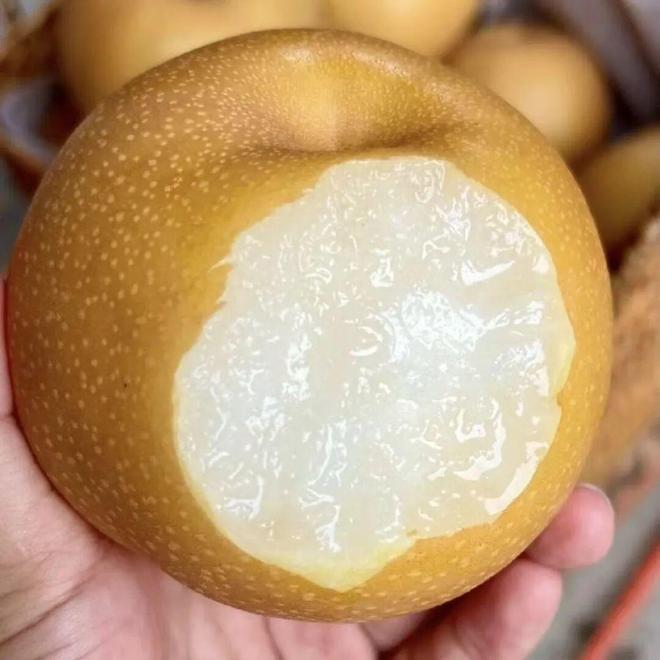 秋天“灭火器”！水润多汁润透肺腑(图1)