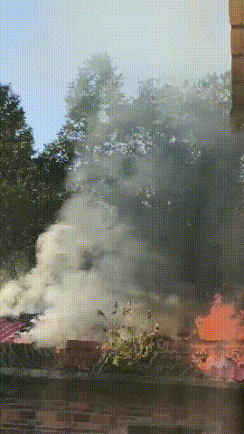 11岁的她救了一个村！村委会将感谢信送至她所在小学(图1)