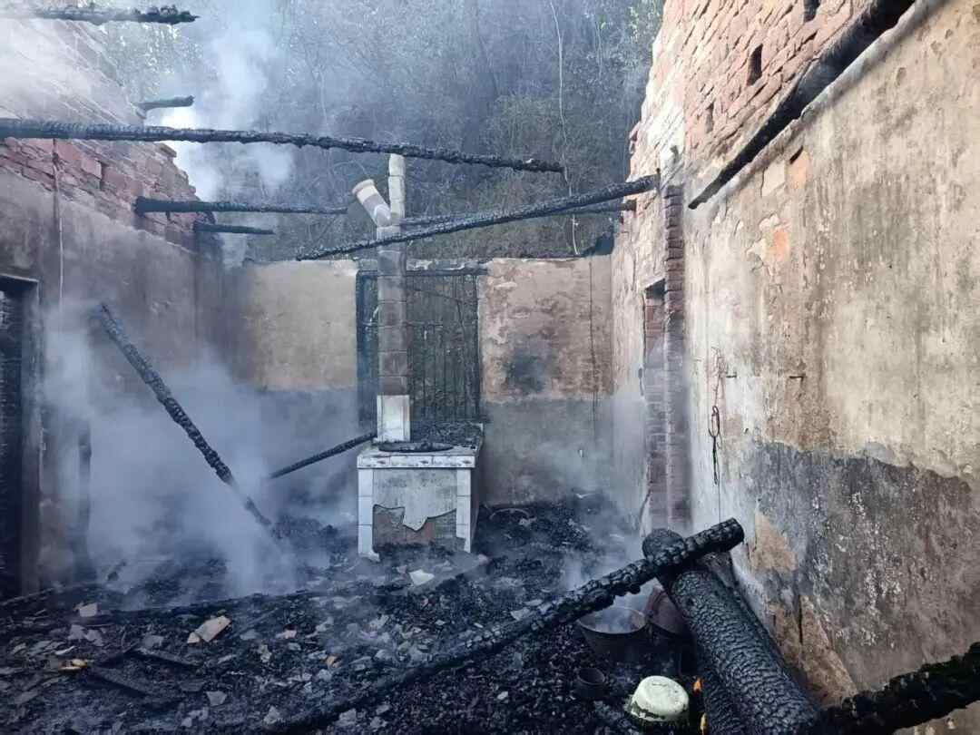 11岁的她救了一个村！村委会将感谢信送至她所在小学(图4)