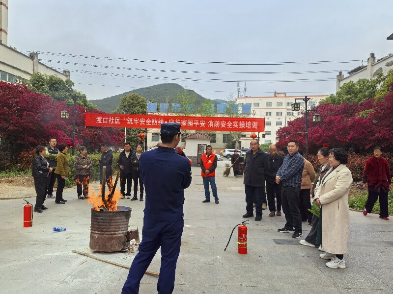 剑阁县下寺镇：筑牢安全防线守护家园平安(图1)