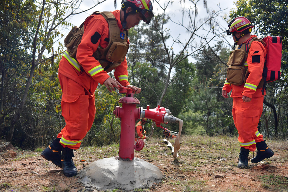江西：从“空中尖兵”到“地面哨兵”的绿色守护(图3)
