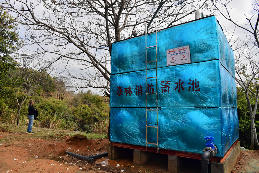 江西：从“空中尖兵”到“地面哨兵”的绿色守护(图4)