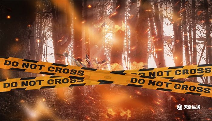 泡沫灭火器的构造及其原理是什么(图3)