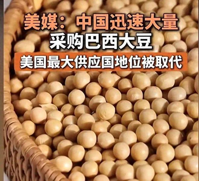 星空体育网站：特朗普访华在即美方提出首个条件希望中方理解不要见死不救(图1)