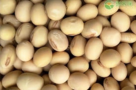 星空体育网站：特朗普访华在即美方提出首个条件希望中方理解不要见死不救(图3)