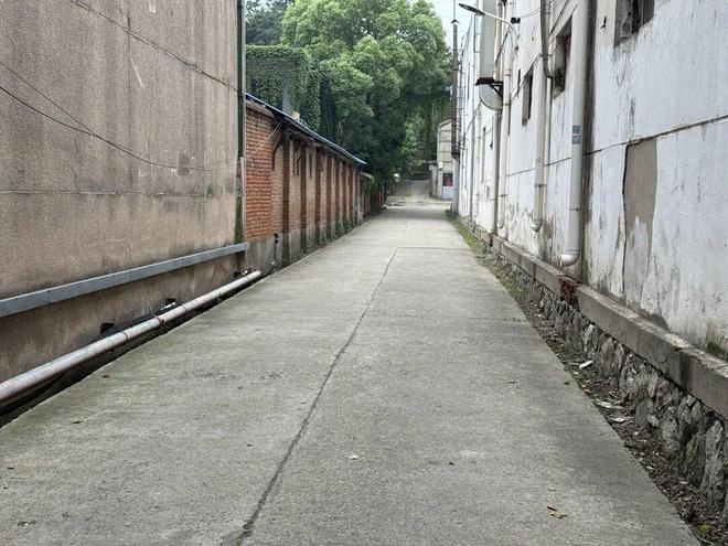 告别坑洼积水老旧小区焕新升级(图4)