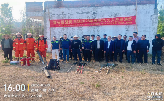 坡头区政府网站(图1)