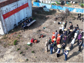 坡头区政府网站(图2)